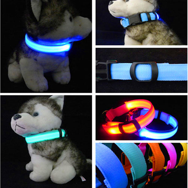 Nylon LED Night Safety Light Dog Collar - FREE SHIPPING - Parenting Survival Gear