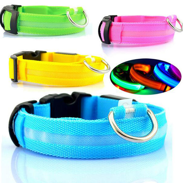 Nylon LED Night Safety Light Dog Collar - FREE SHIPPING - Parenting Survival Gear