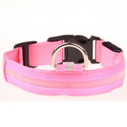 Nylon LED Night Safety Light Dog Collar - FREE SHIPPING - Parenting Survival Gear