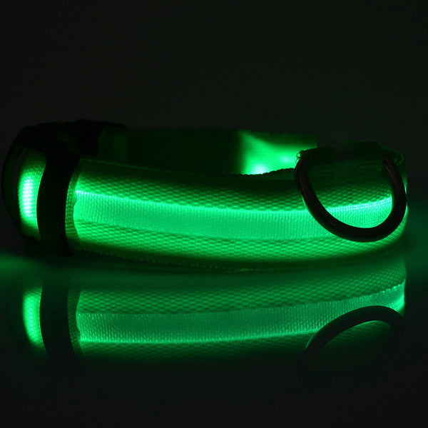 Nylon LED Night Safety Light Dog Collar - FREE SHIPPING - Parenting Survival Gear