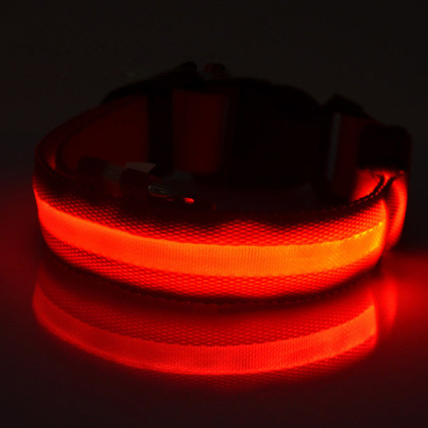 Nylon LED Night Safety Light Dog Collar - FREE SHIPPING - Parenting Survival Gear